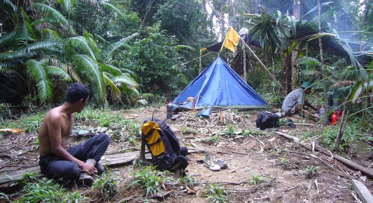 Tent in the jungle