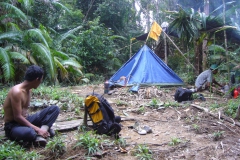 Tent in the jungle