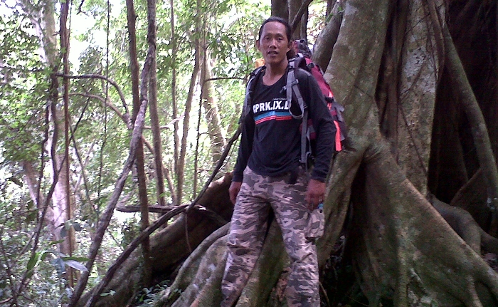 Trekking in the jungle