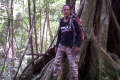 Trekking in the jungle