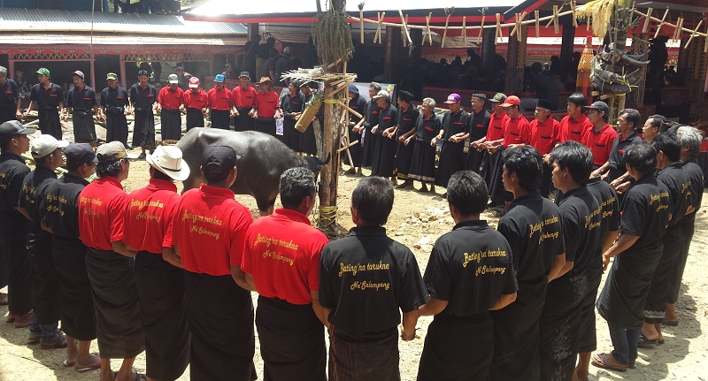 Funeral ceremony (Tomate)