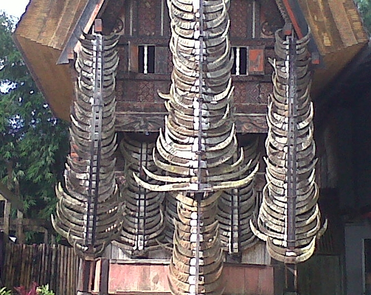 Toraja house