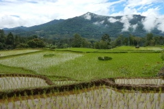 Toraja landscape