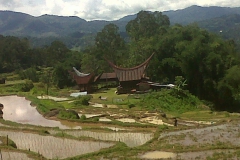 Toraja vilage