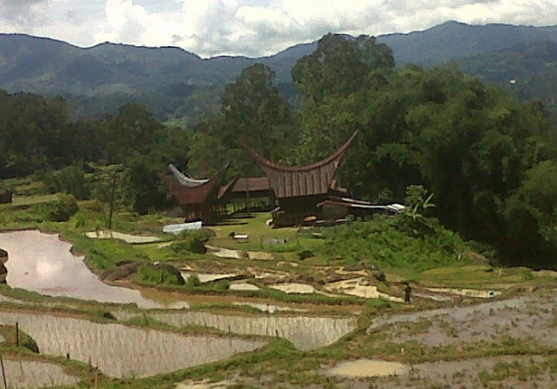 Toraja vilage