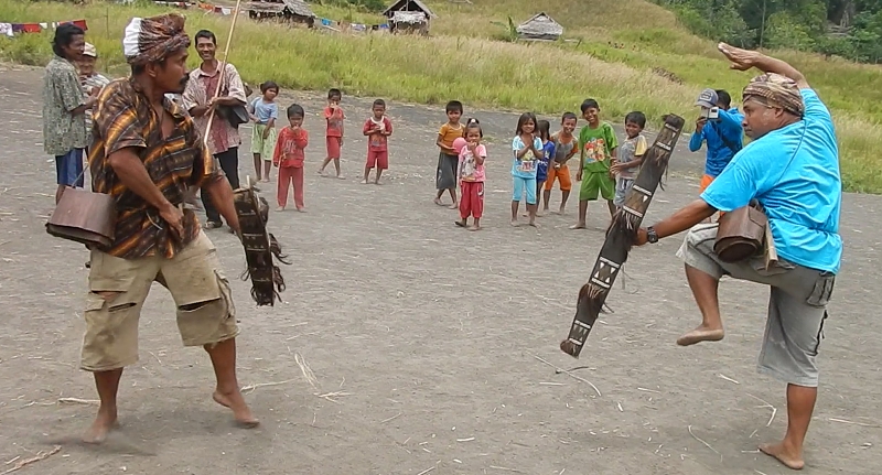 Traditional fight