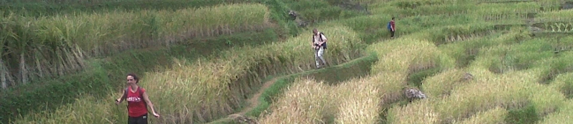 BudiTrek – Jungle and Toraja Trekking on Sulawesi